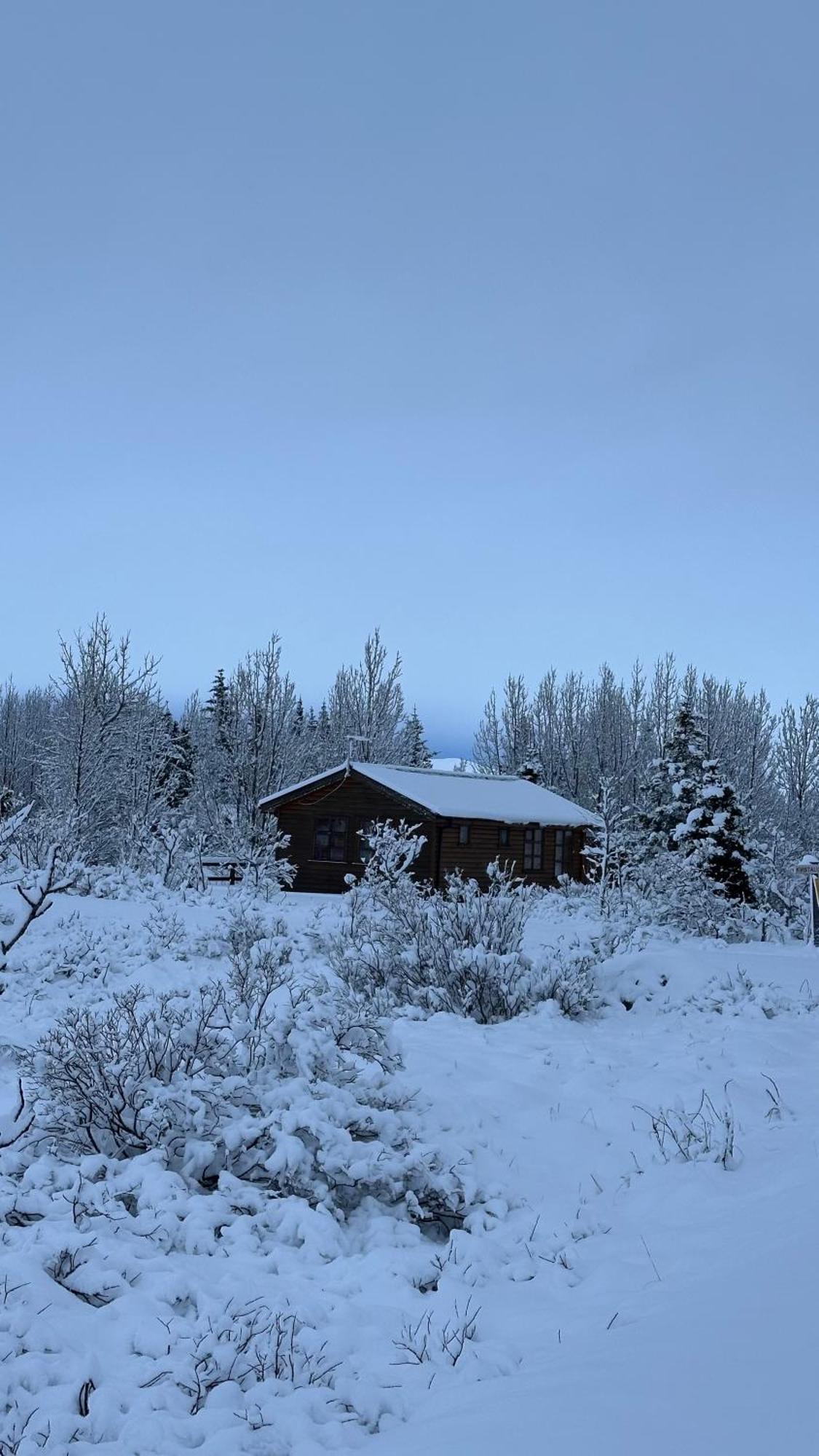 Cozy Near þingvallavatn Feriehus Veithilundur